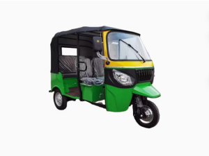 Triciclo Txopela bajaj de passageiros